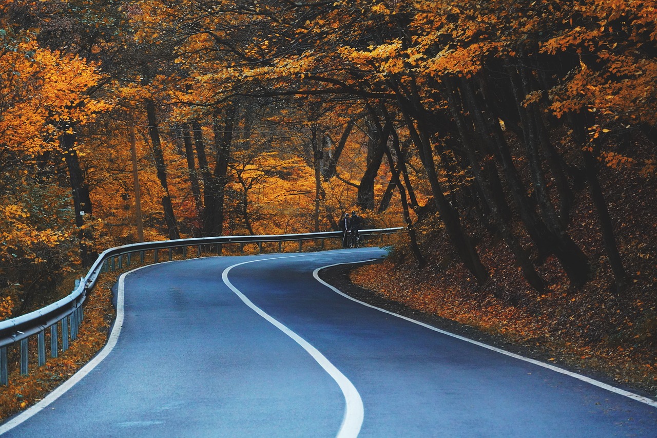 road, curve, trees-5704083.jpg